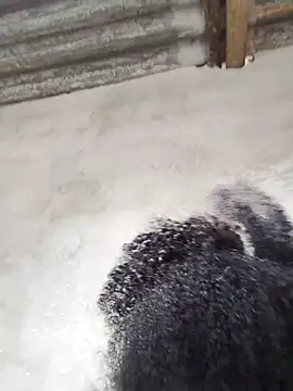 vaniyna online show from 02.22.26