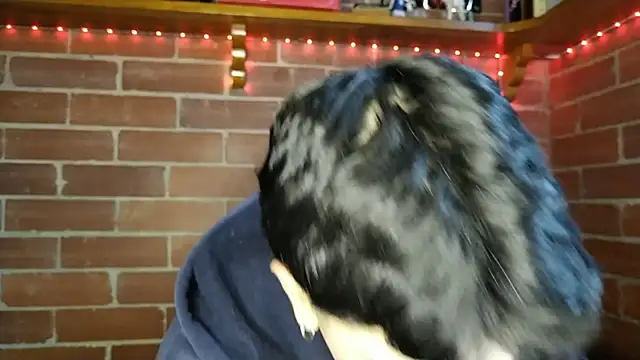 PaulDamico online show from 02.02.26