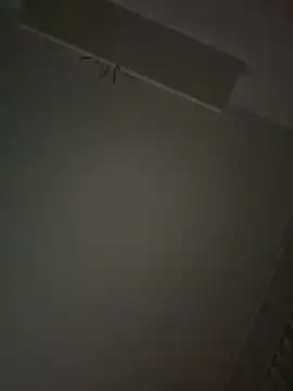 tony3729 online show from 03.19.26