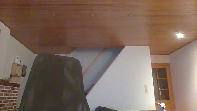 Snapshot of ludowrss chatting on 05.17.26 ludowrss online show from 05.17.26