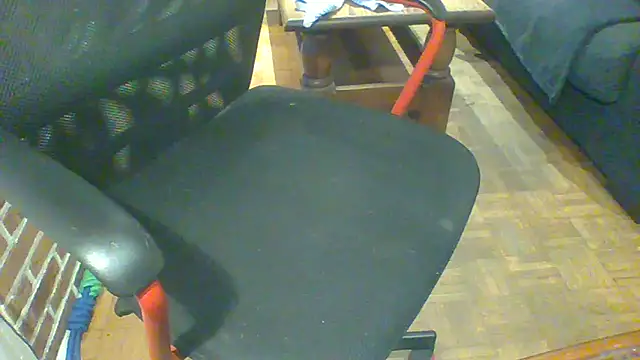 Snapshot of ludowrss chatting on 05.19.26 ludowrss online show from 05.19.26