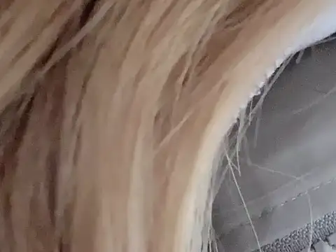 dingding-520 online show from 03.04.26