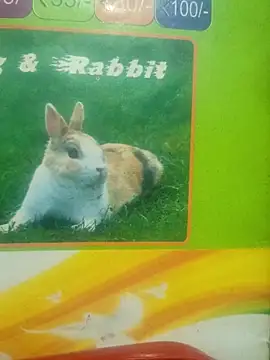 Lovable dude online show from 03.12.26