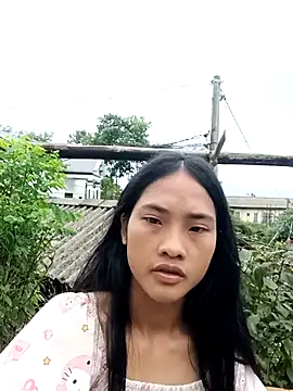 Hoa-tuylip online show from 07.29.26