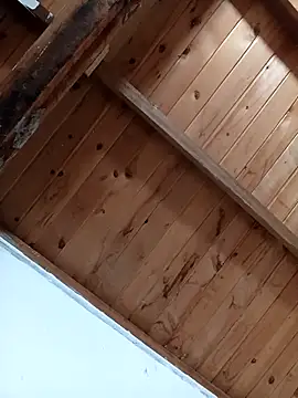 luna pinky online show from 03.01.26