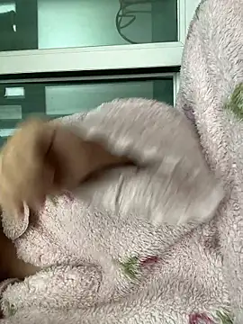 Snapshot of wjddjwjd chatting on 02.06.26 wjddjwjd online show from 02.06.26