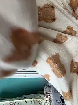 Snapshot of wjddjwjd chatting on 03.12.26 wjddjwjd online show from 03.12.26