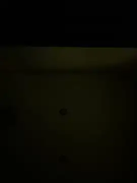 Callmedaddy9 online show from 03.17.26