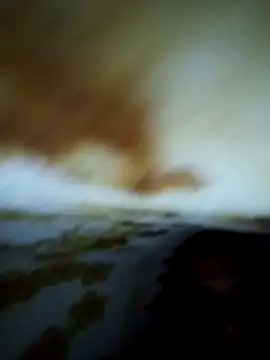 Alone b0 online show from 02.01.26