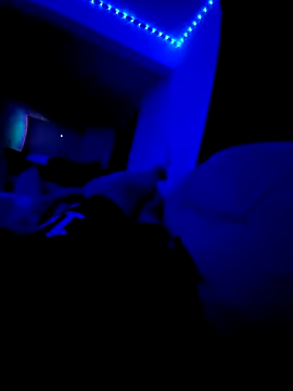 Elpnzaurio online show from 03.12.26