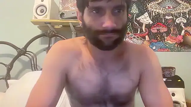 TrndSettr online show from 08.02.26