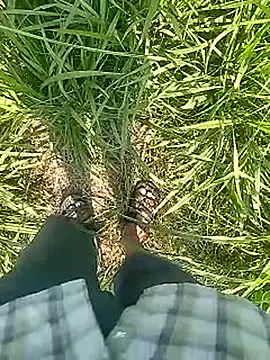 Cute Boy 4 online show from 02.22.26