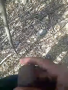 Cute Boy 4 online show from 02.23.26