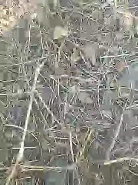 Cute Boy 4 online show from 03.09.26