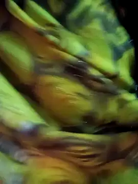 Snapshot of Muskan44s chatting on 02.17.26 Muskan44s online show from 02.17.26