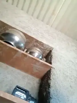 Snapshot of Lucky_couple-1 chatting on 02.14.26 Lucky couple-1 online show from 02.14.26