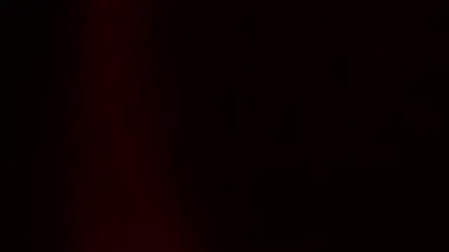 BambiRoses online show from 07.01.26