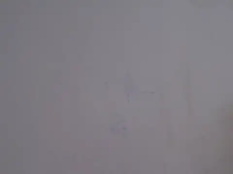 Snapshot of placerverdadero chatting on 02.15.26 placerverdadero online show from 02.15.26