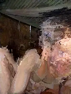 Bella-222 online show from 03.02.26