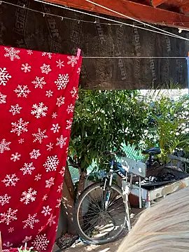 Ellie-rosee online show from 03.02.26