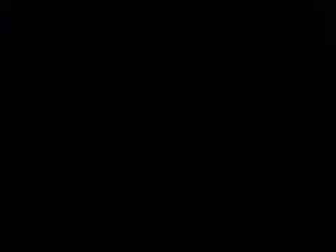 paula ross  online show from 02.28.26