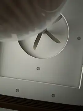 czamabe online show from 02.19.26