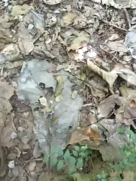 Snapshot of kalai_32 chatting on 02.04.26 kalai 32 online show from 02.04.26