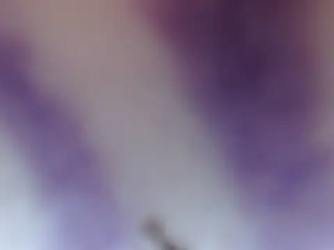 ELIZA 01 online show from 02.08.26