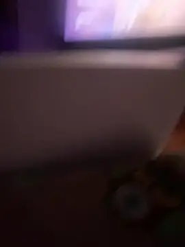 io1Elian online show from 03.06.26