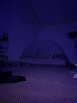 tuncube online show from 03.17.26