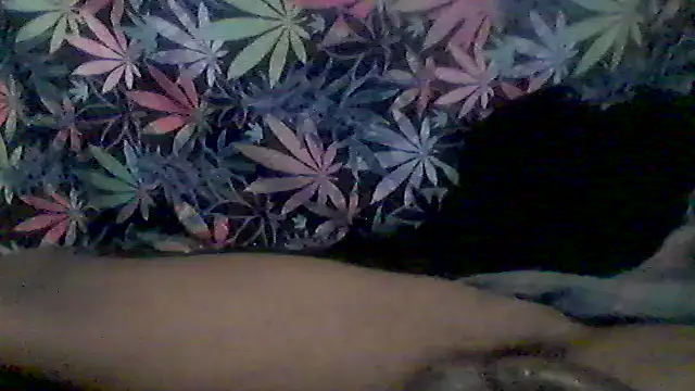 libraxxxstudios online show from 06.09.26