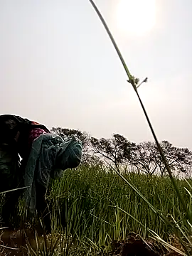 Royal hotti0011 online show from 03.17.26