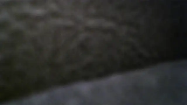 Snapshot of ClunkyPermit chatting on 03.07.26 ClunkyPermit online show from 03.07.26