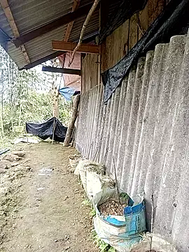 Anna 516 online show from 03.10.26