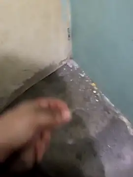 tortolito201 online show from 02.08.26