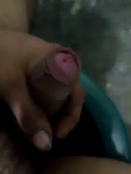 tortolito201 online show from 02.11.26