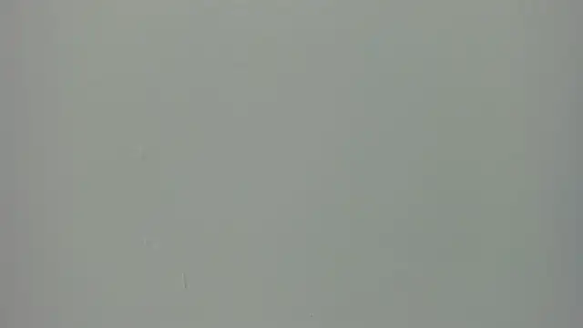 Raven love online show from 04.29.26