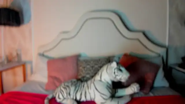 niicole garner online show from 02.11.26