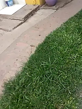 gordorichard online show from 02.04.26