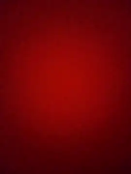 Pelloz online show from 02.04.26