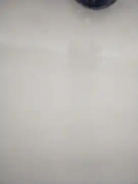 macariocb online show from 02.08.26