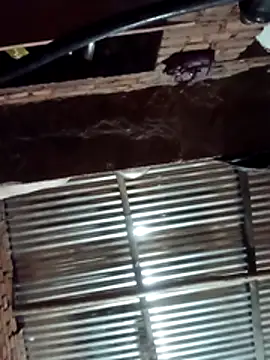 Snapshot of Hot_ree64 chatting on 03.27.26 Hot ree64 online show from 03.27.26