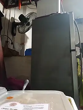 Wildcam21 online show from 02.24.26