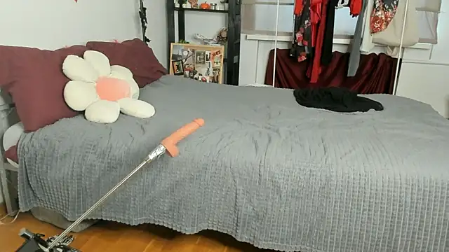 Snapshot of CalmFever chatting on 02.19.26 CalmFever online show from 02.19.26