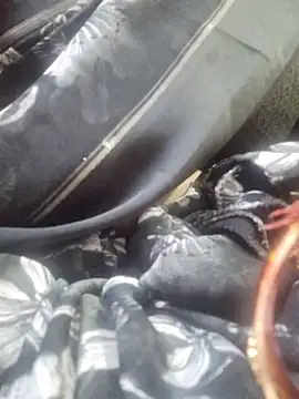 SexybeboX online show from 03.19.26