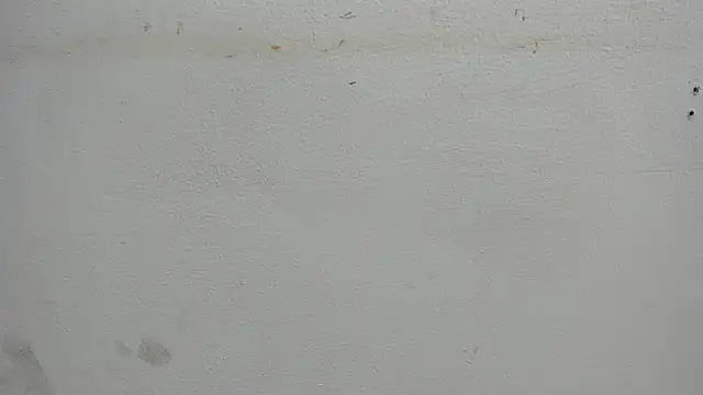 Kitty f00x online show from 07.15.26