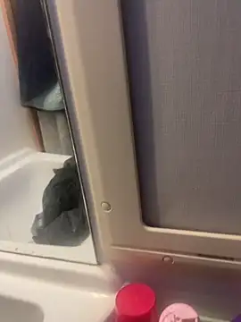 Snapshot of stallone_italiano_62 chatting on 02.26.26 stallone italiano 62 online show from 02.26.26