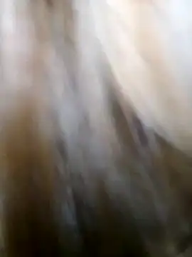 -Bada- online show from 03.01.26