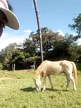 nego5628 online show from 03.08.26