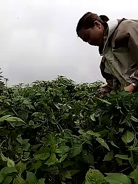 lovely-742 online show from 02.28.26